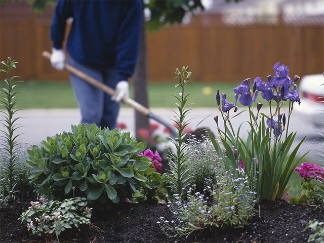 The Health Benefits Of Gardening
