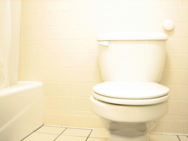 Many Types of Toilets