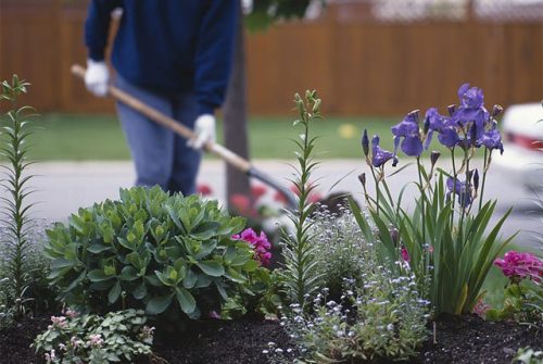 The Health Benefits Of Gardening